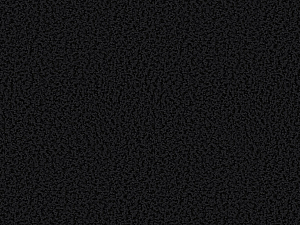 Carpet&nbsp;&nbsp;Smoozy 1621 Kaviar black<br />
3300 x 3800 mm