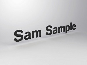 Foil lettering for BMW directional sign (per line)