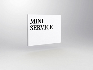 Front cover for MINI service module M2<br />
B 1000 x H 750 mm