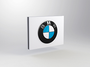 BMW brand module for pylon P5<br />
B 1800 x H 1350 mm