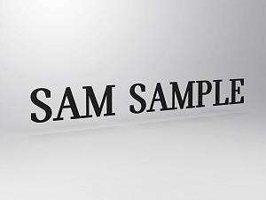 Character for MINI pylon P6