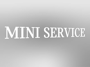 MINI Lettering "MINI Service", not illuminated, E1